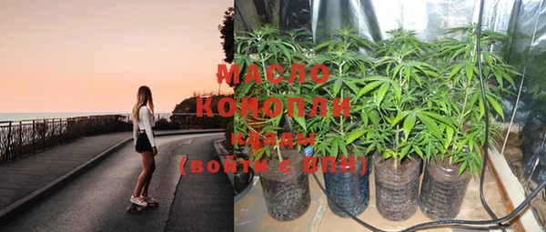 амф Бородино