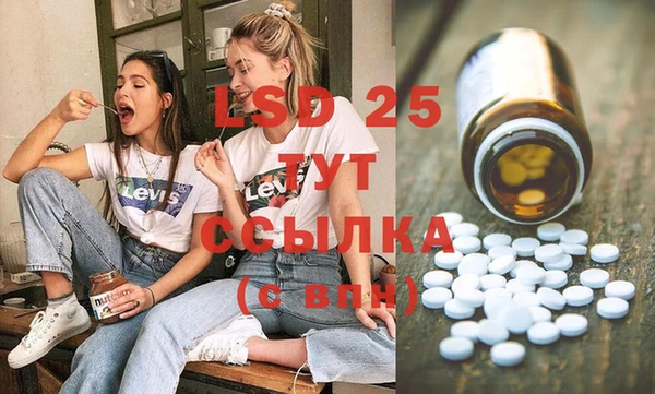 амф Бородино